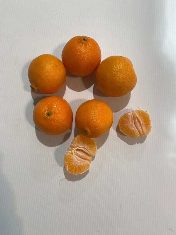 1 Kg de clémentines Corse