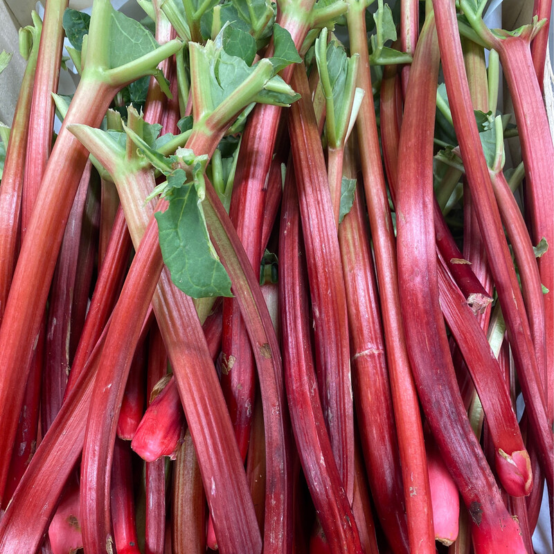 1 Kg de rhubarbe