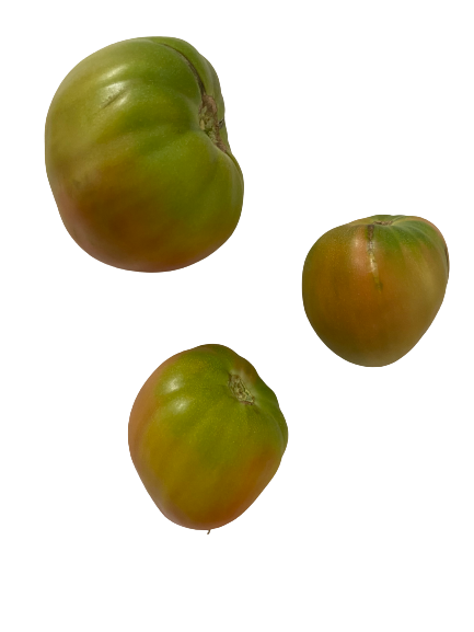 1 Kg de tomates cœur de bœuf