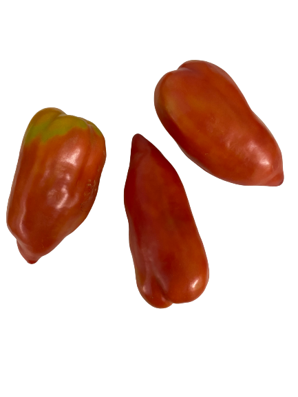 1 Kg de tomates cornues