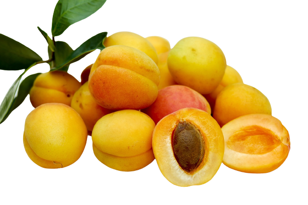 0.500 Kg d'abricots