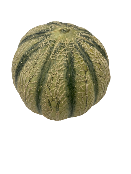 1 Melon