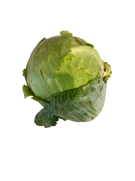 1 Chou vert 1 Chou vert