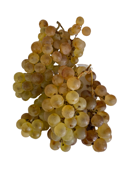 0.500 Kg de raisin blanc Chasselas