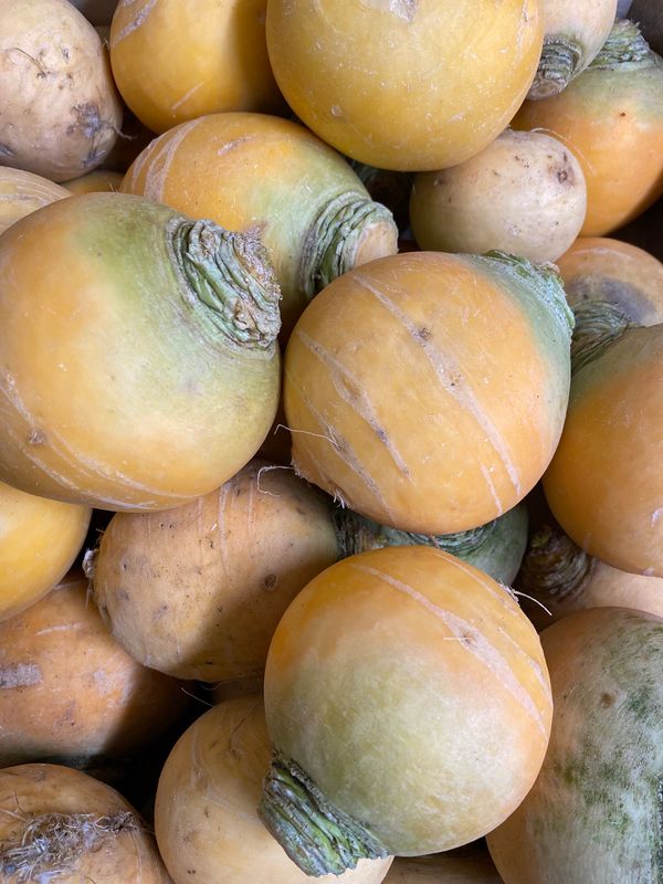 0.500 Kg de navets boule d’or