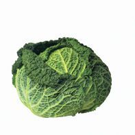 Chou vert frisé