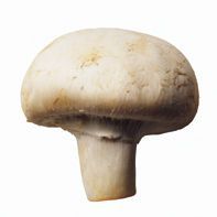 0.250 Kg de champignons blancs