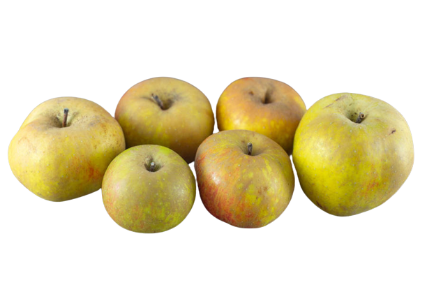 1 Kg de Pommes BOSKOOP