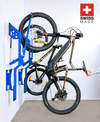 e-BikeLift 2020 (nur in der Farbe grau)