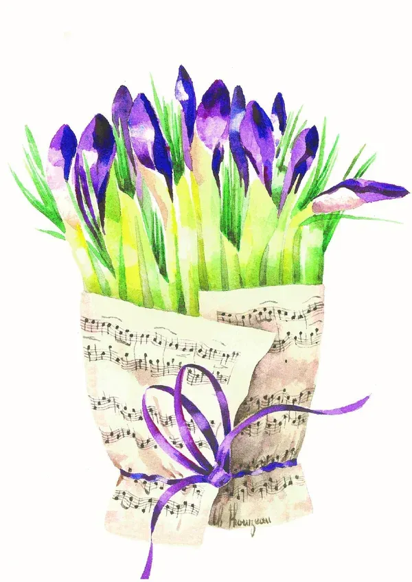 Karte Noten + Iris