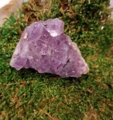 Small Amethyst Cluster approximately 2 inches