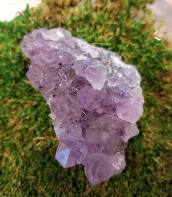 Small Amethyst Cluster approximately 2.75 inches