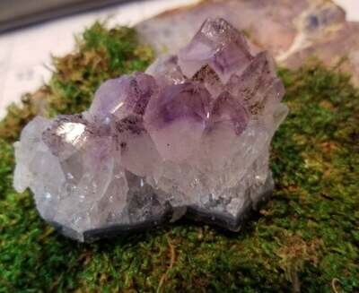 Amethyst Cluster approximately 2.75 inches