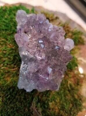 Amethyst Cluster approximately 2.5 inches