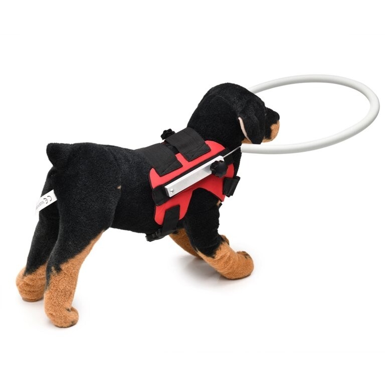 Blind Dog Safety Harness with Protective Ring Anti-Collision Bumper Collar