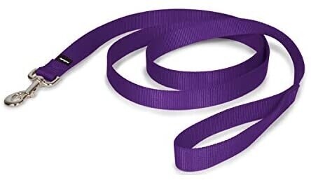 1" Nylon Leash/Collar Combo  - Strong, Durable, Traditional Style - L