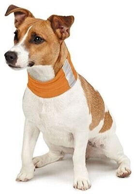 Insect Shield Neck Gaiter for Dogs - S