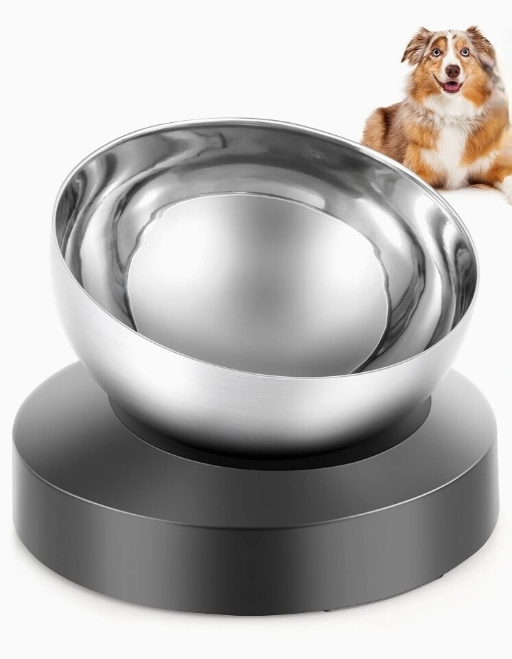 Stainless Steel Tilted and Elevated Pet Bowl w/Stand