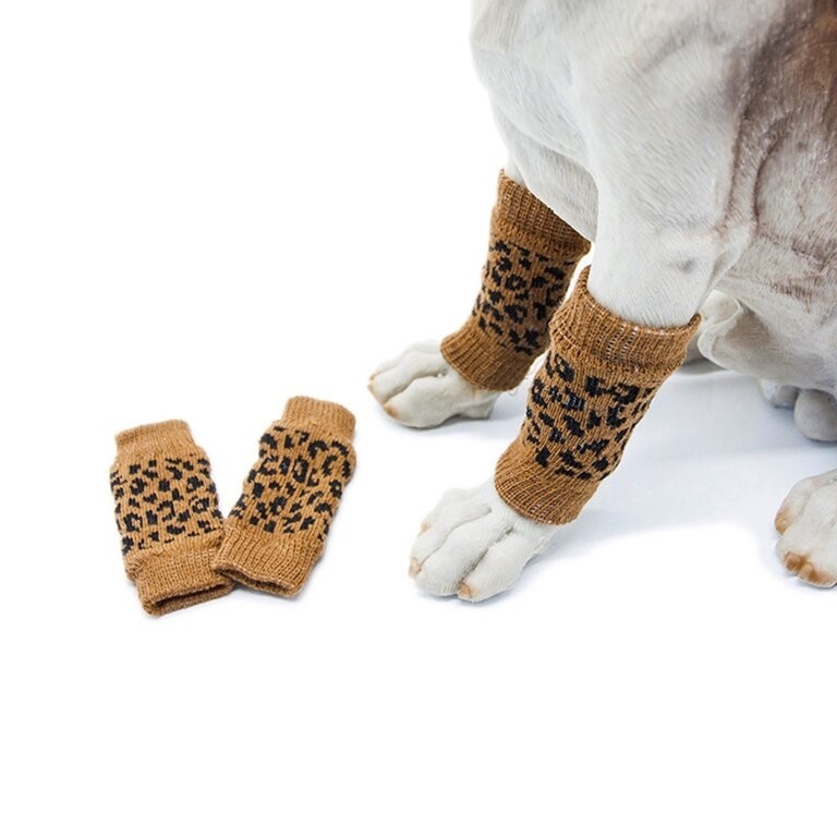 Cool Kids 4pc Leg Warmers for Dog - S/M