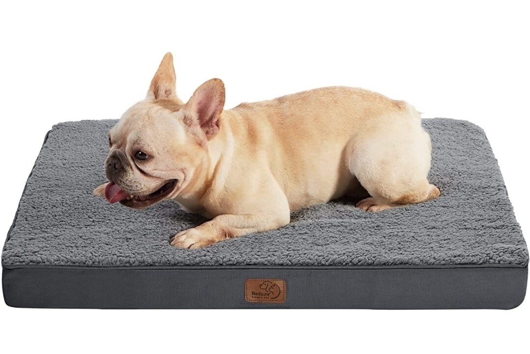 Bedsure Orthopedic Foam Dog Bed - S