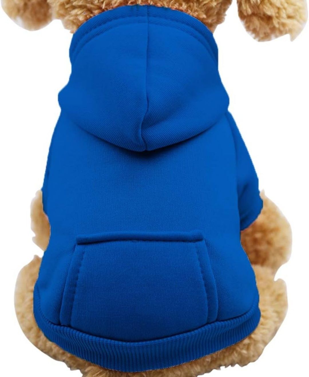 Royal Blue Hoodie - XS