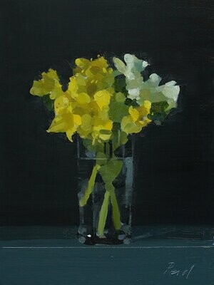 Alstroemeria, Two Yellows and a White