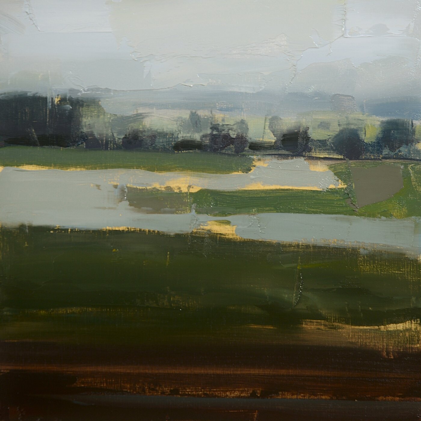 View From a Train - River Garnock Floodplain