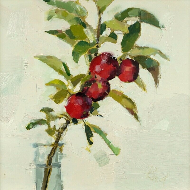 Cox Apples