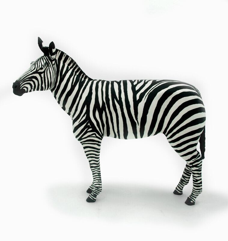 Plains Zebra