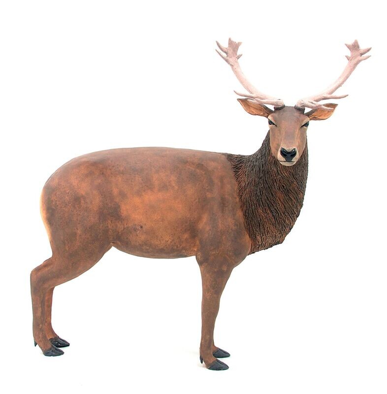Stag
