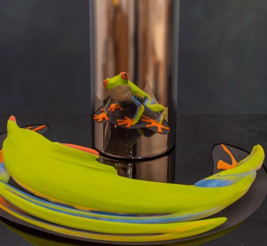 Pura Vida: Red Eyed Tree Frog