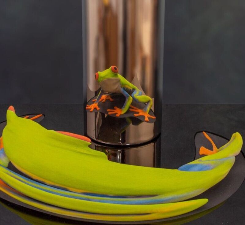 Pura Vida: Red Eyed Tree Frog