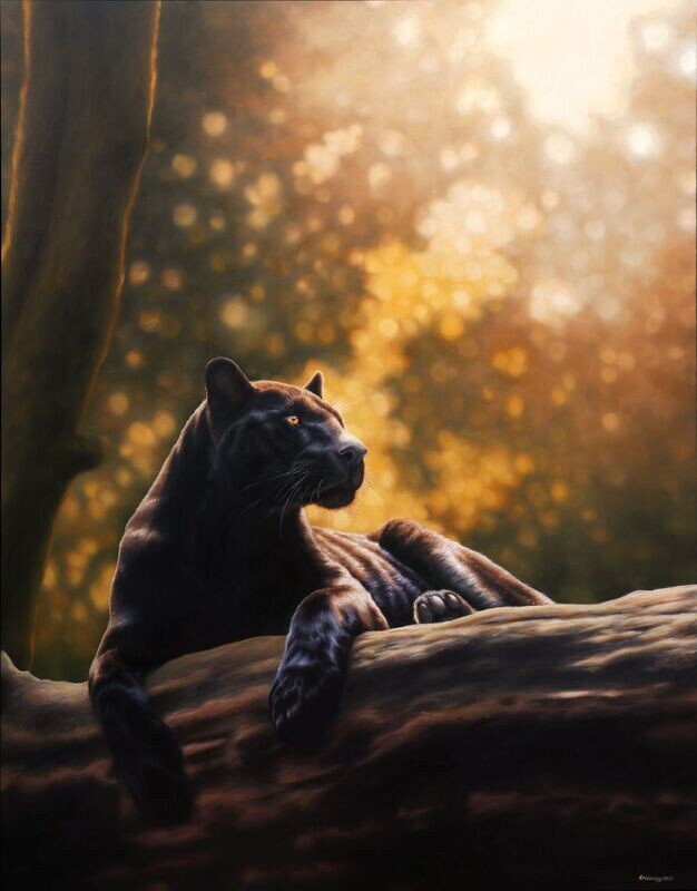 Last Light