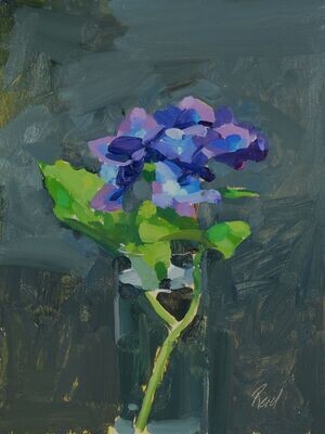 Blue Hydrangea Flower