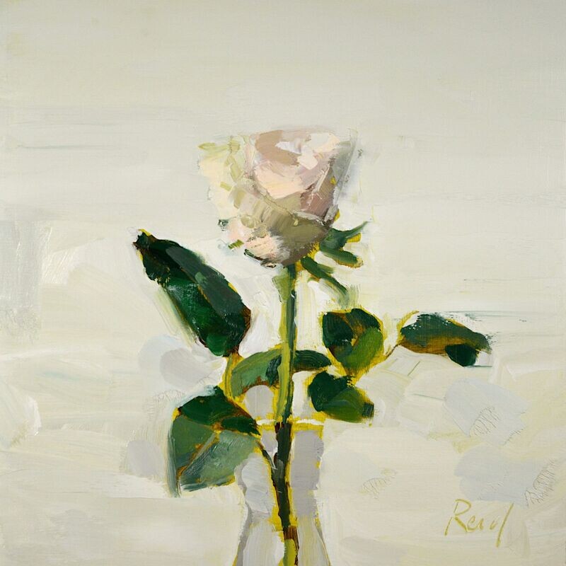 Pink Rose