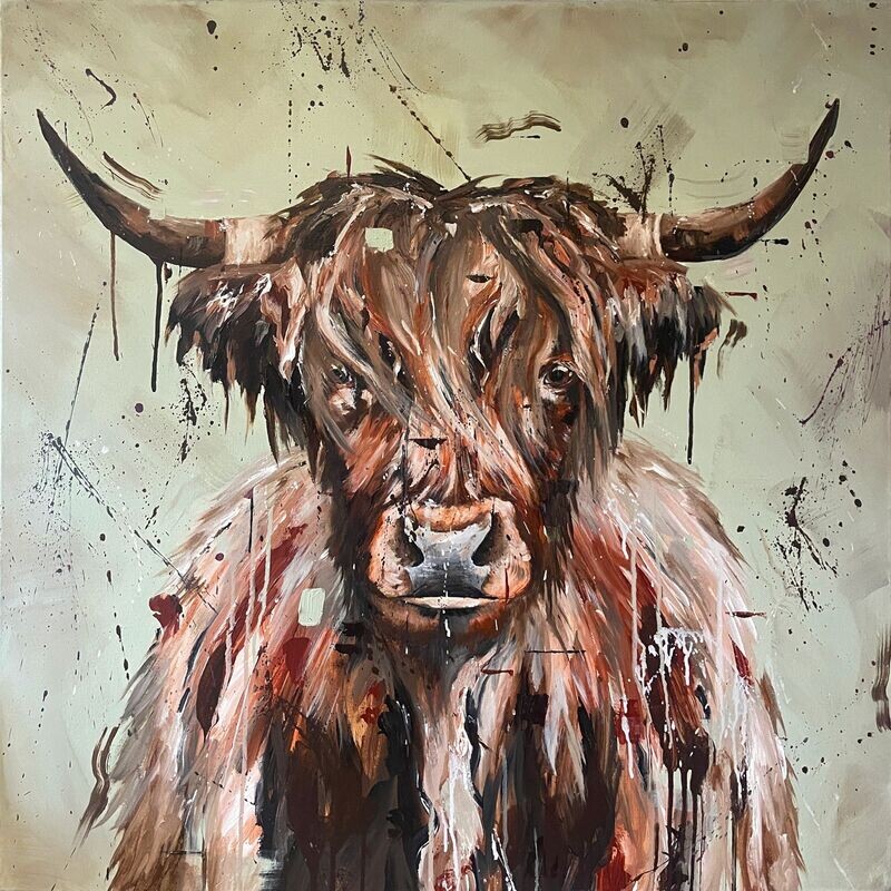 The Heilan Coo