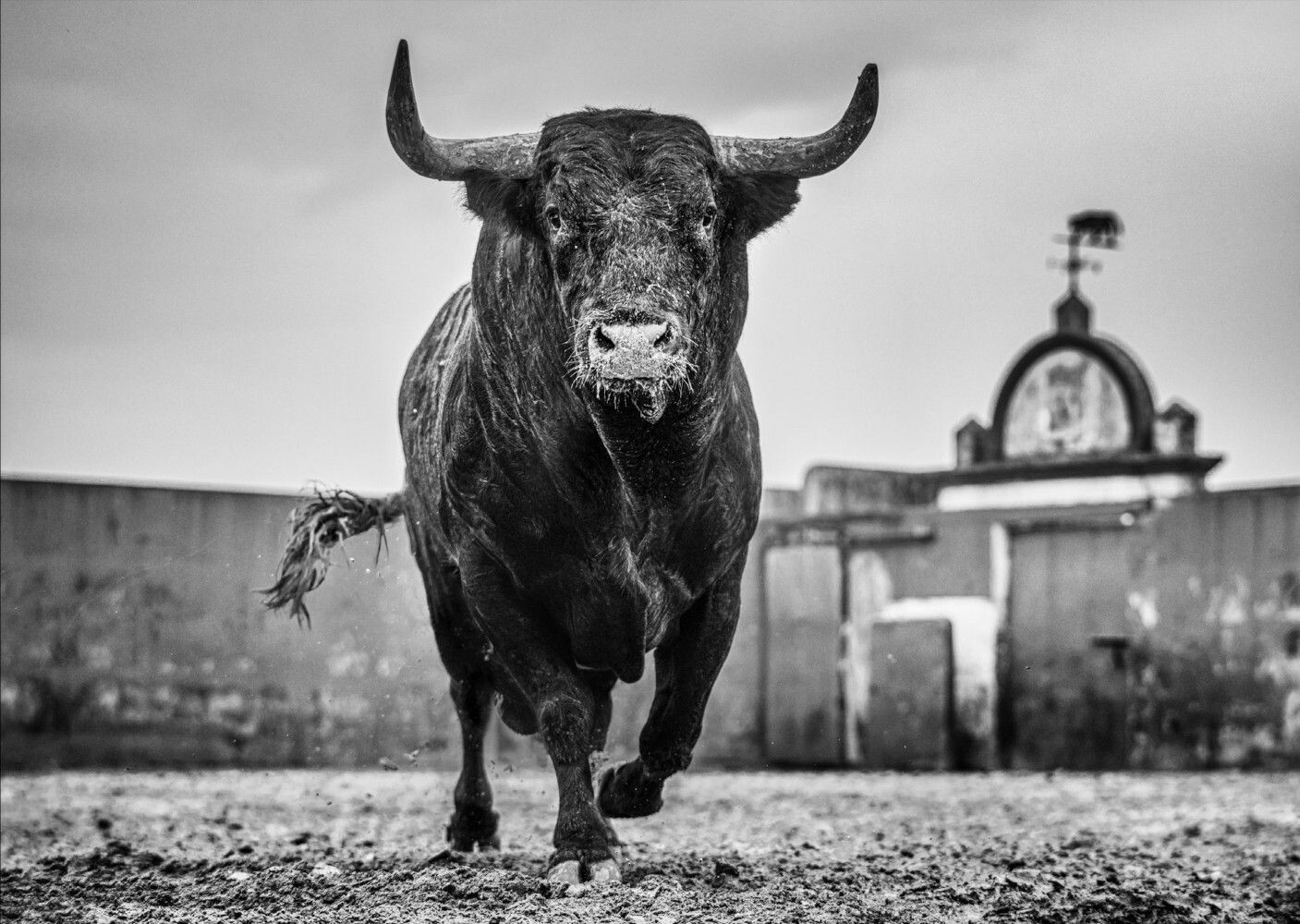 Bullish