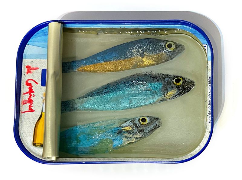 Sardines - 7