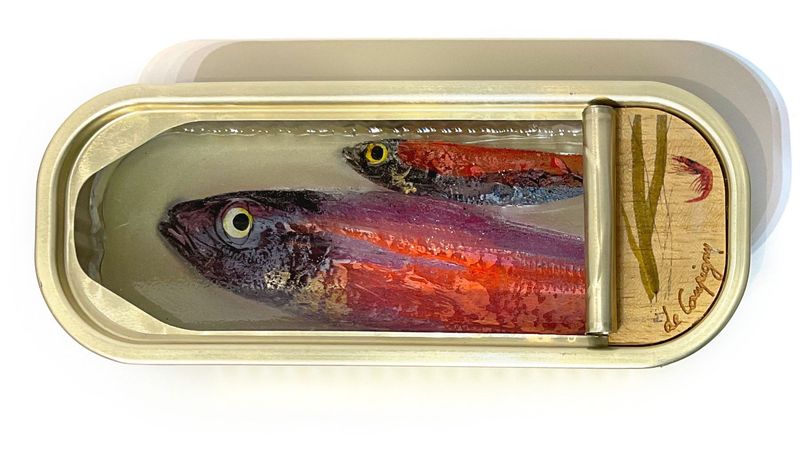 Sardines - 14