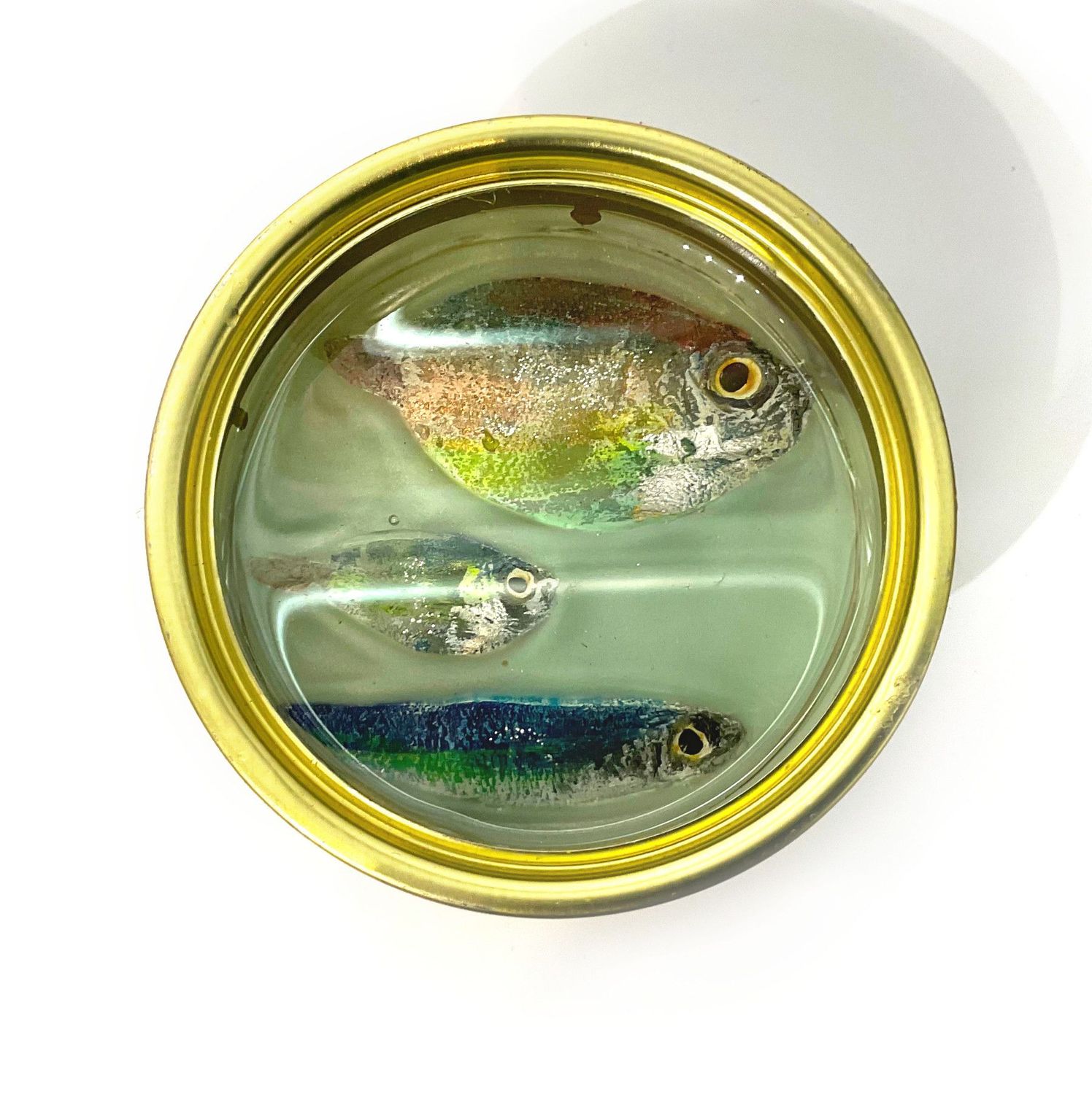 Sardines - 18