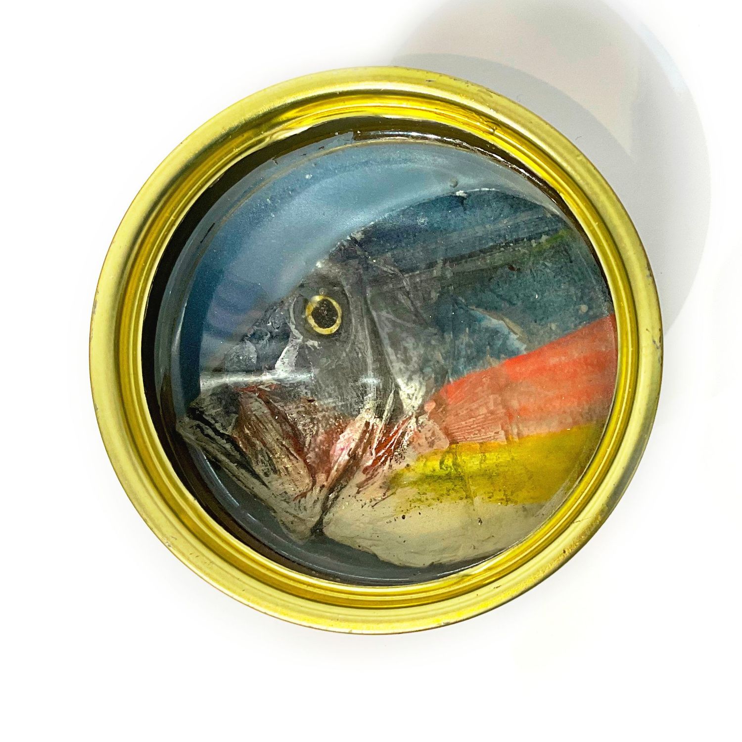 Sardines - 20