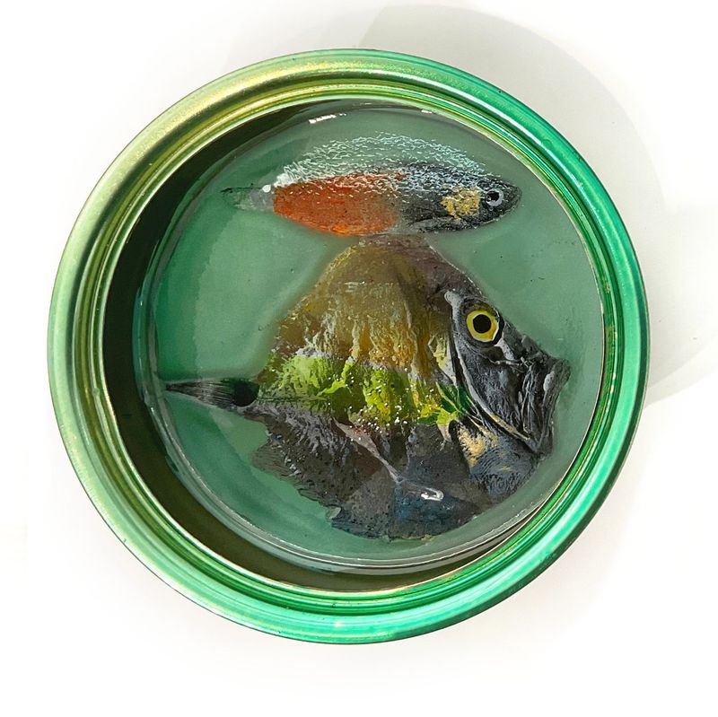 Sardines - 21