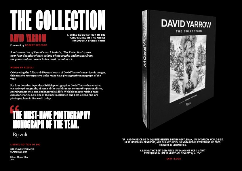 THE COLLECTION