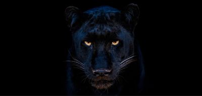 The Black Panther Club