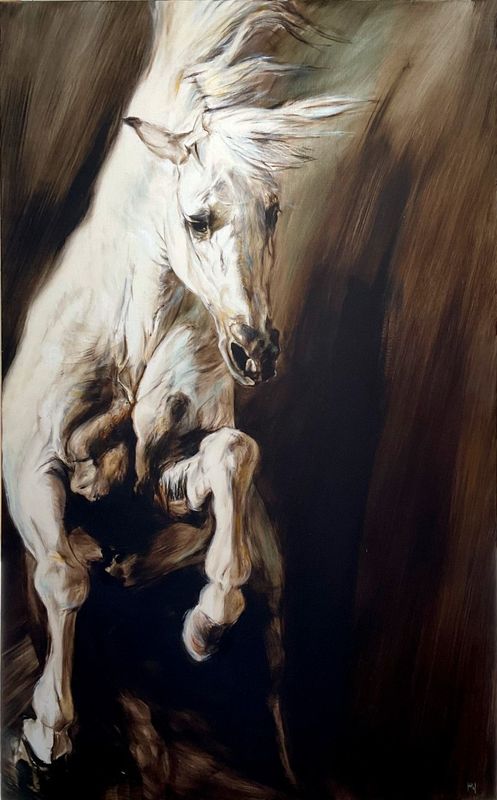 Stallion Study