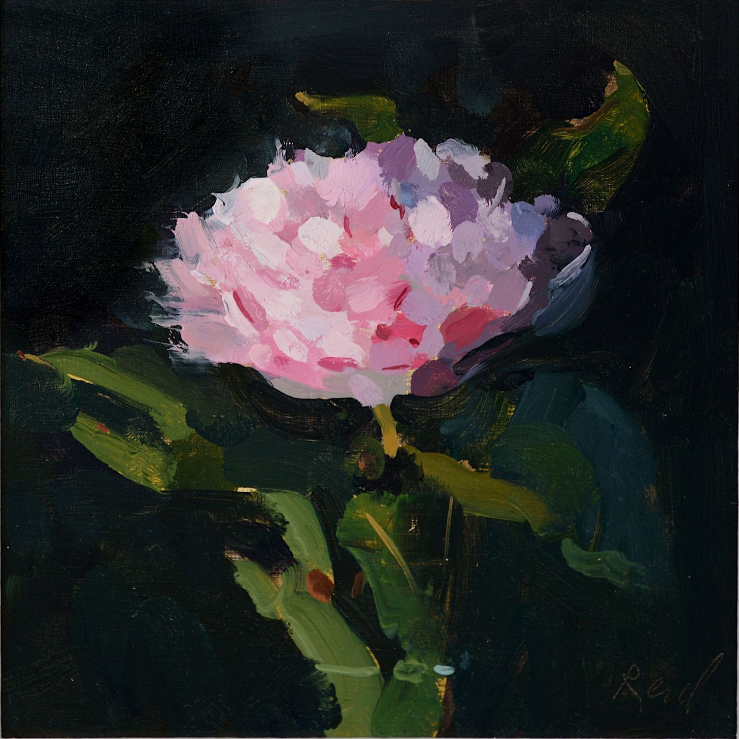 Peony