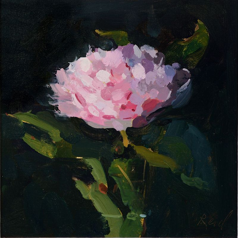 Peony
