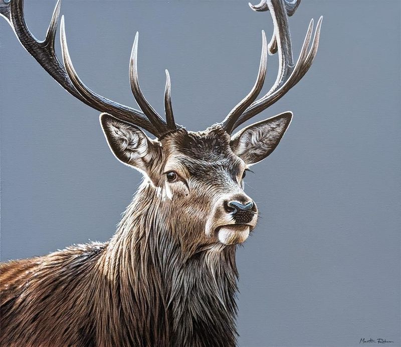 Spirit Of The Forest