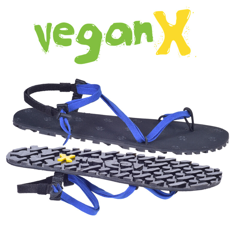 Vegan X