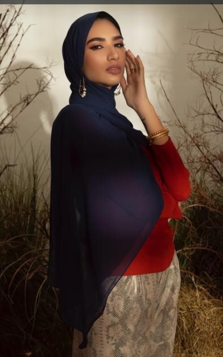 Two Meter long Chiffon scarfs
